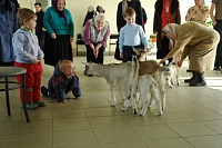 4. Встреча. Юные паломники познают мир..